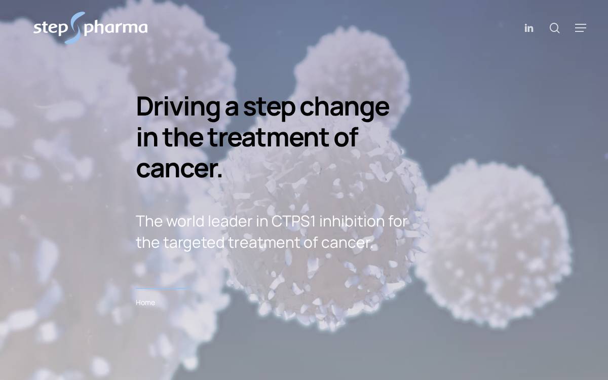 Step Pharma website preview