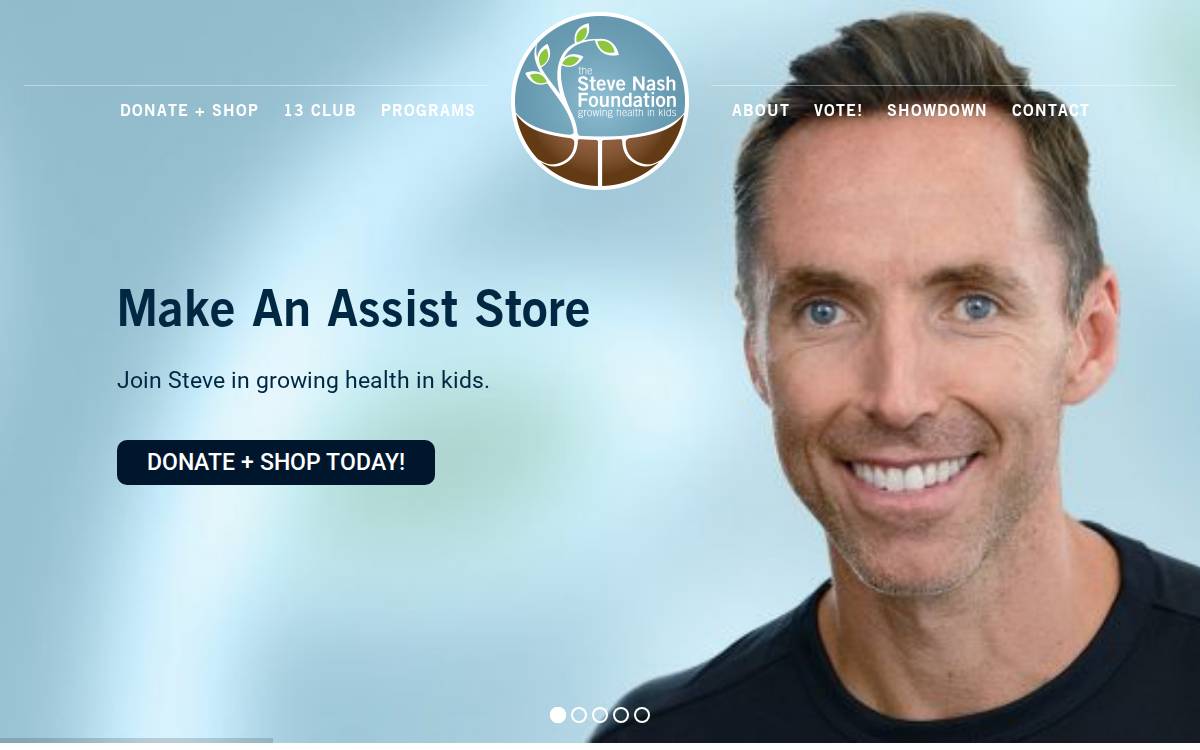 Stevenash website preview