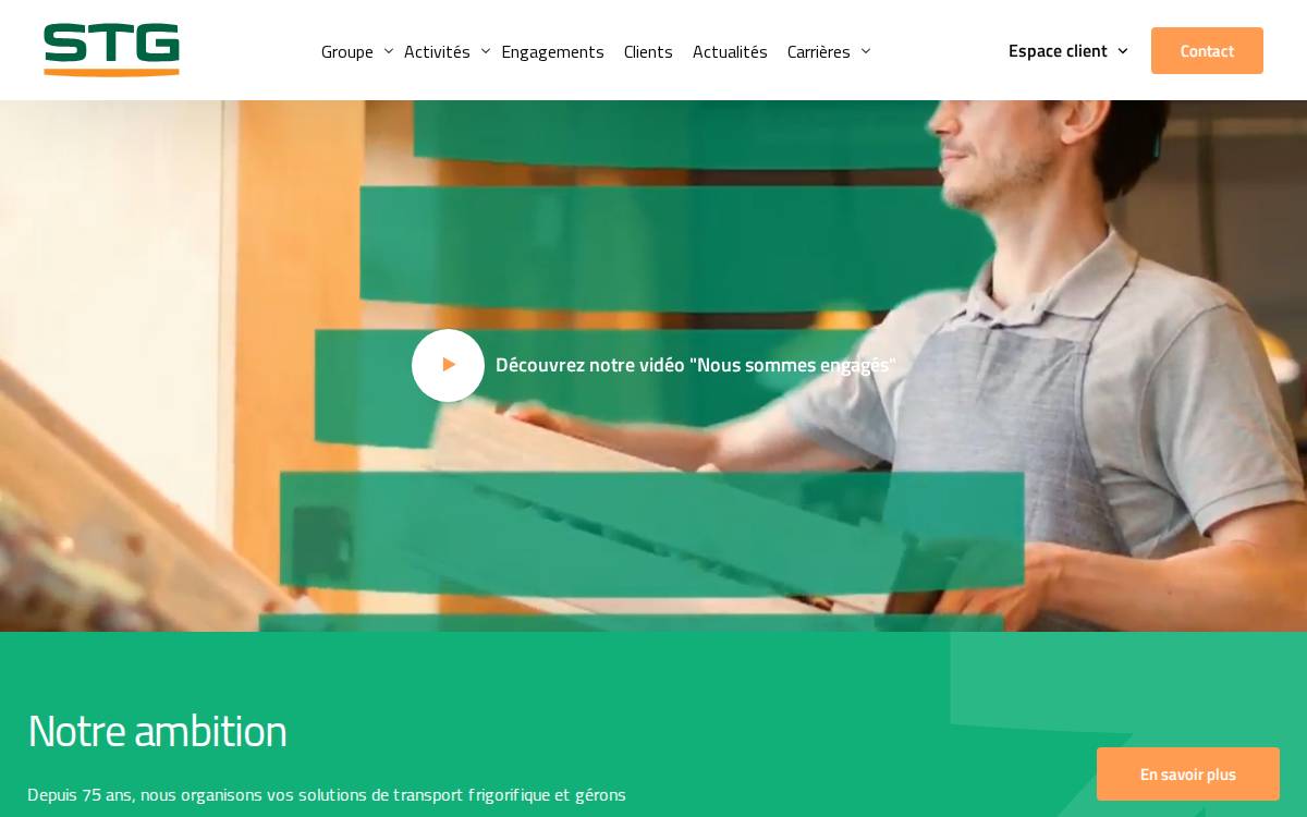 STG website preview