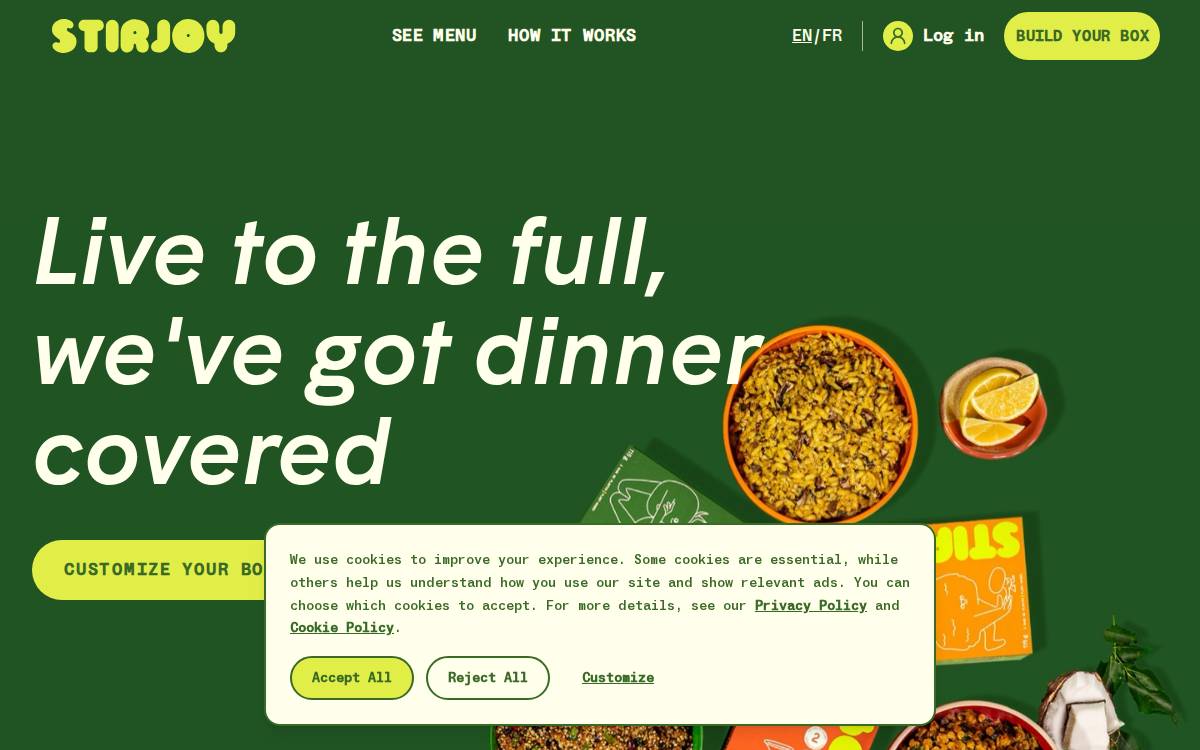 Stirjoy website preview
