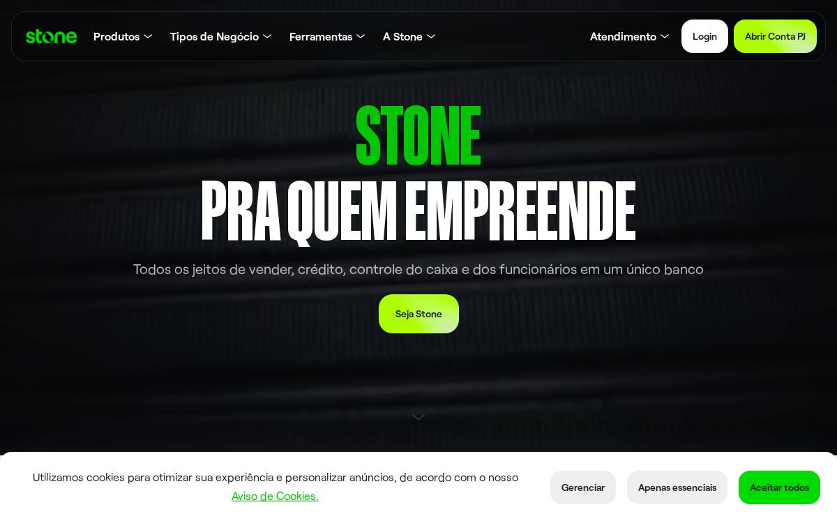 Stone website preview