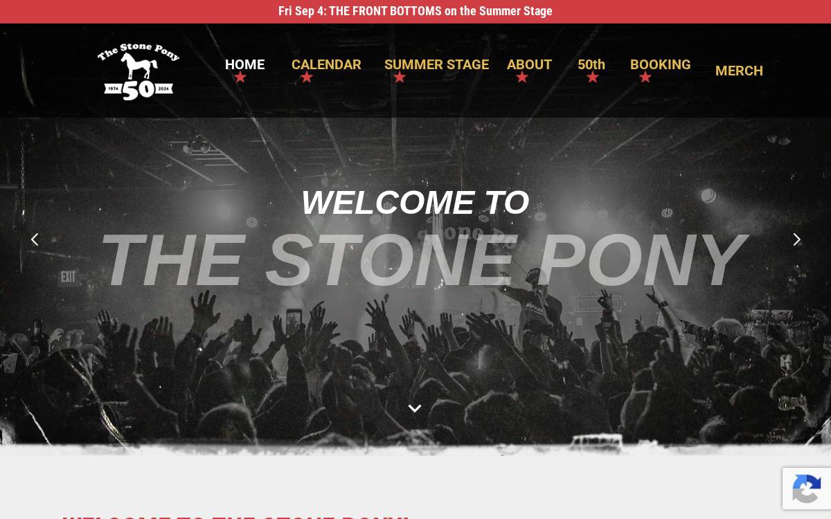 Stoneponyonline website preview