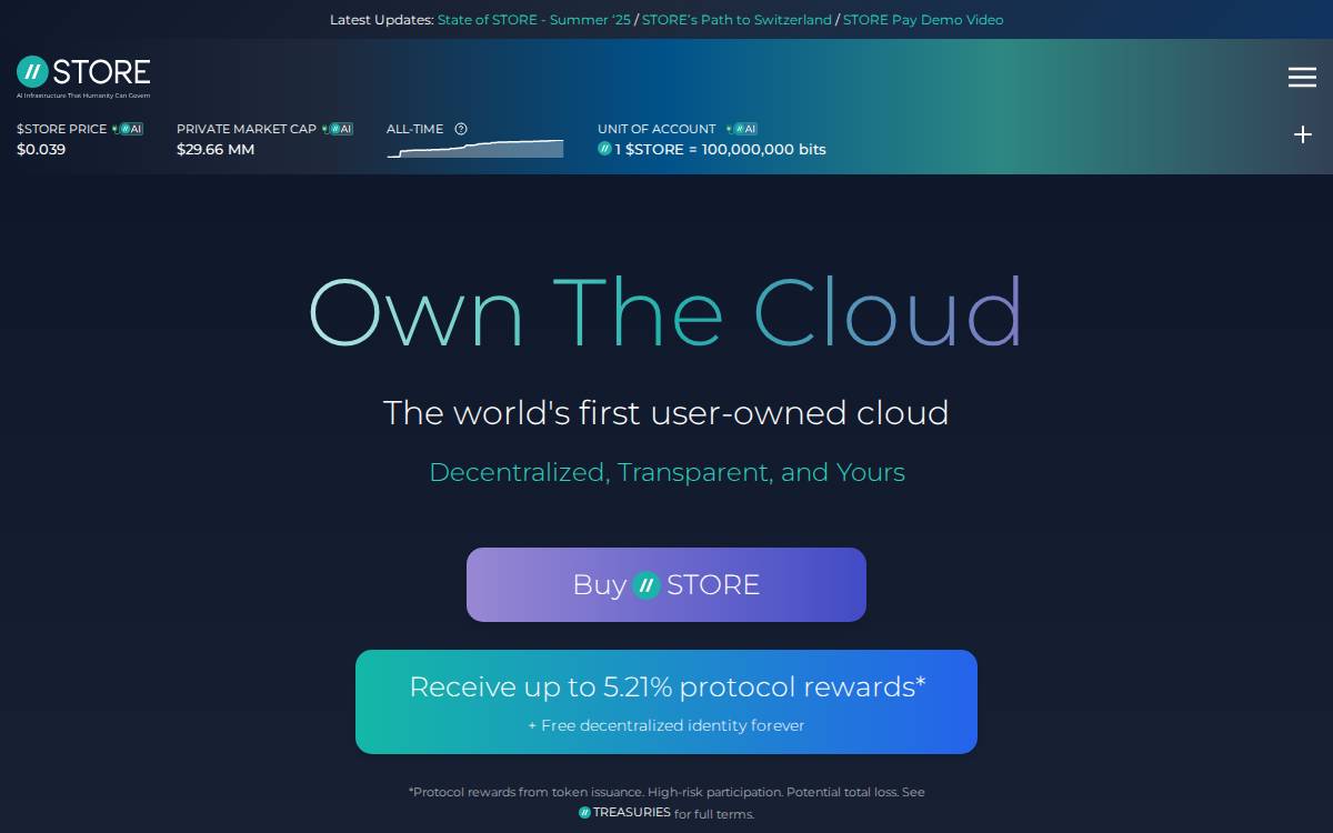 Storecloud website preview