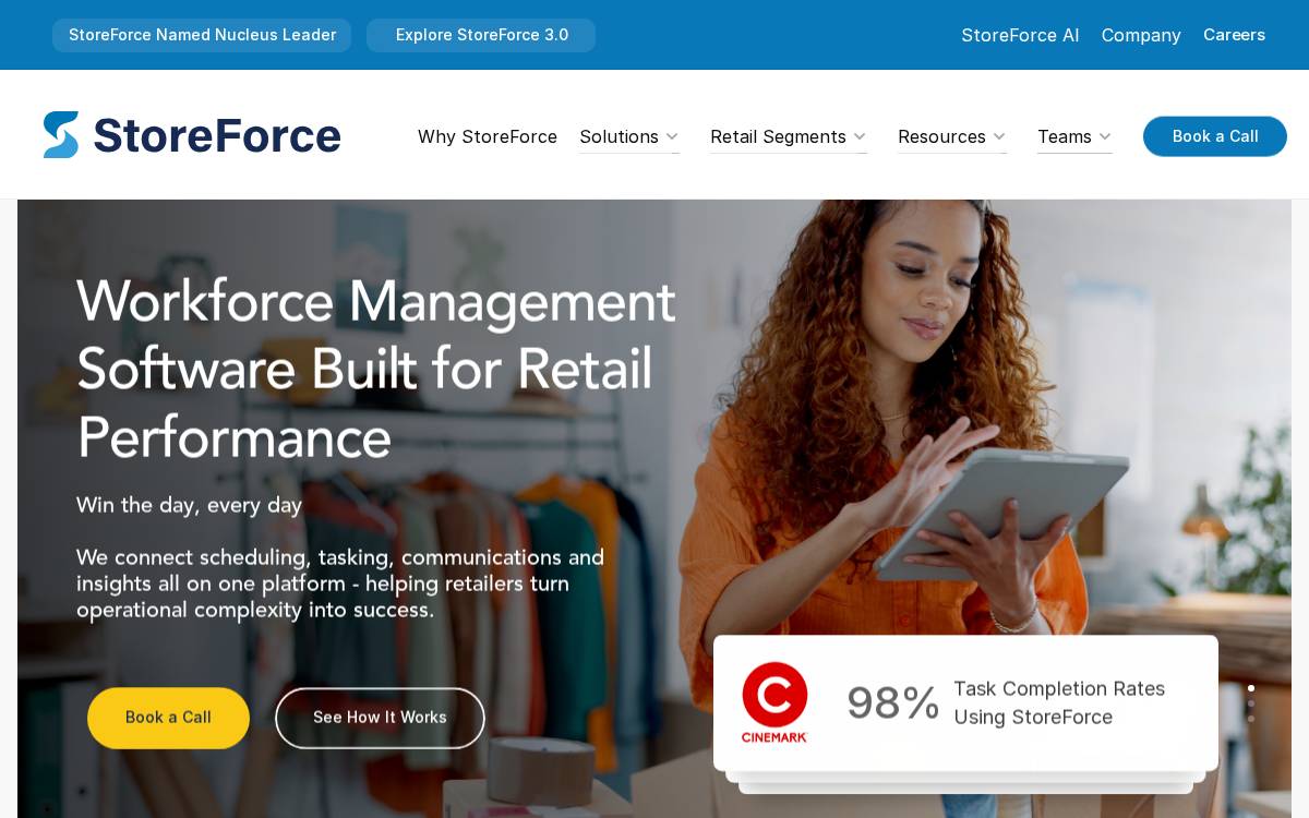 StoreForce website preview