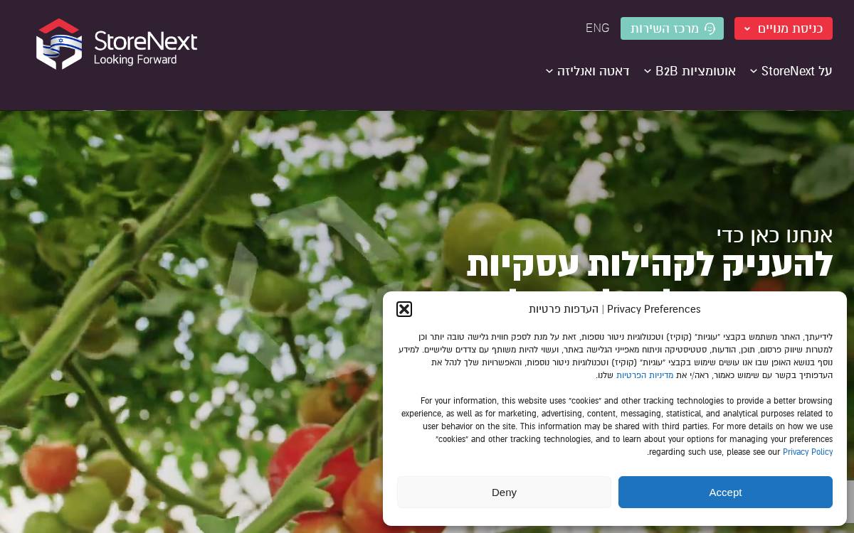 Storenext website preview