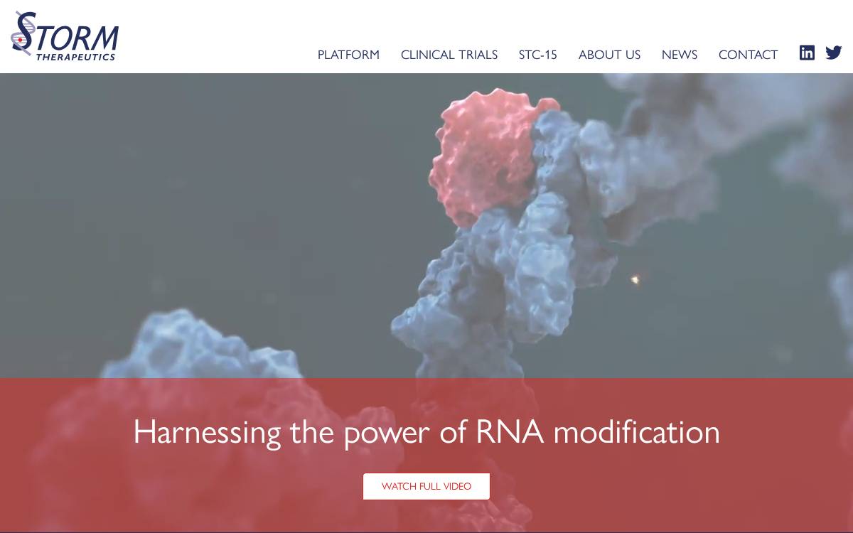 Storm Therapeutics website preview