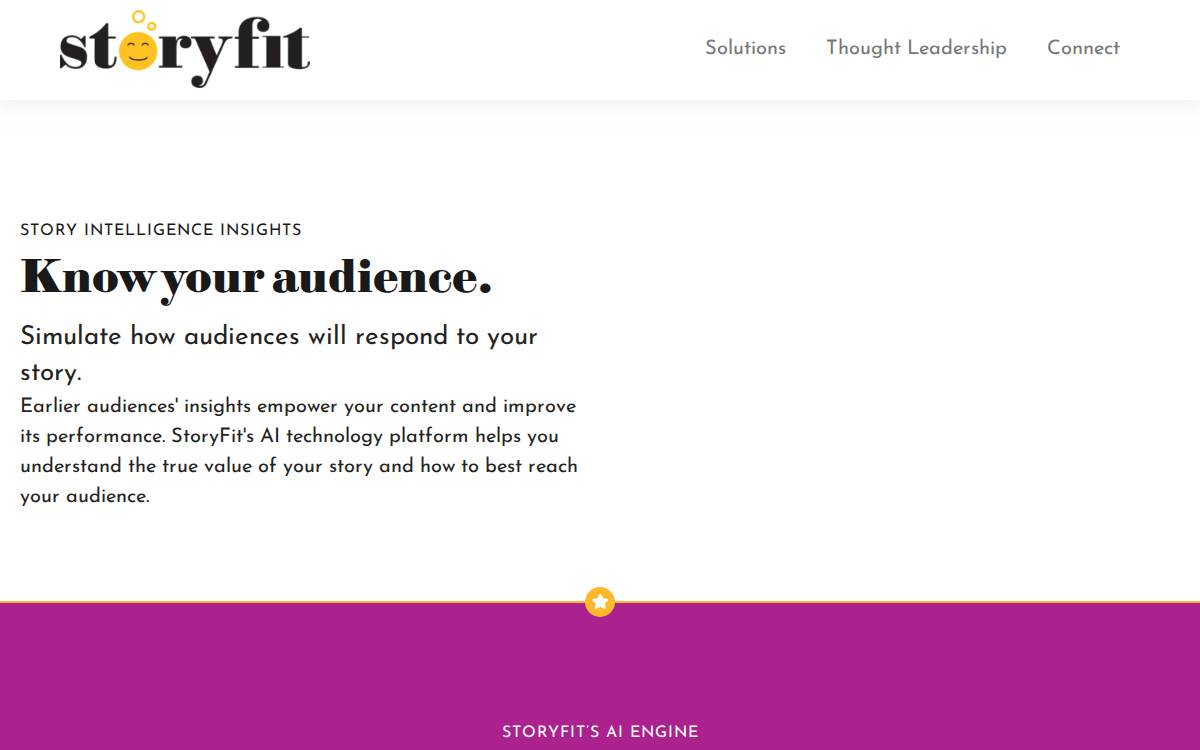 StoryFit website preview