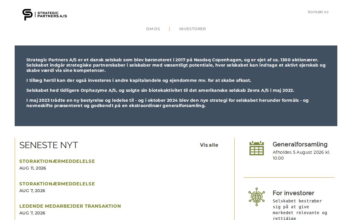 Strategic Partners website preview