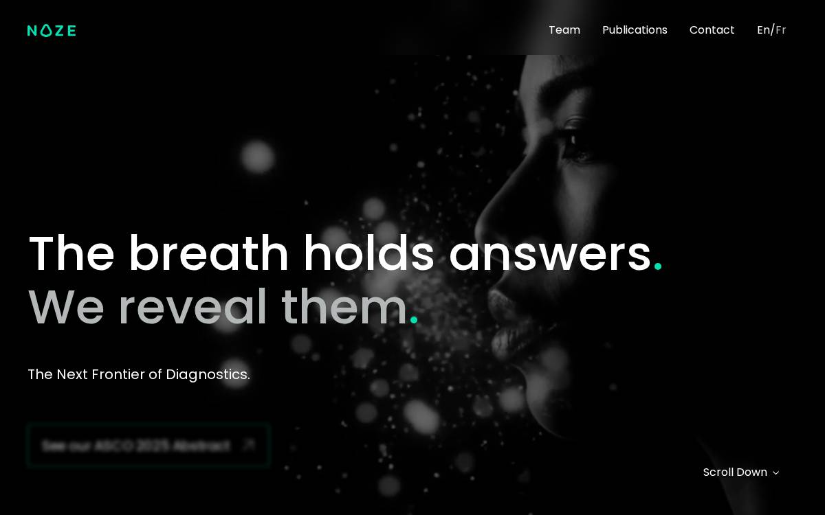STRATUSCENT INC. website preview