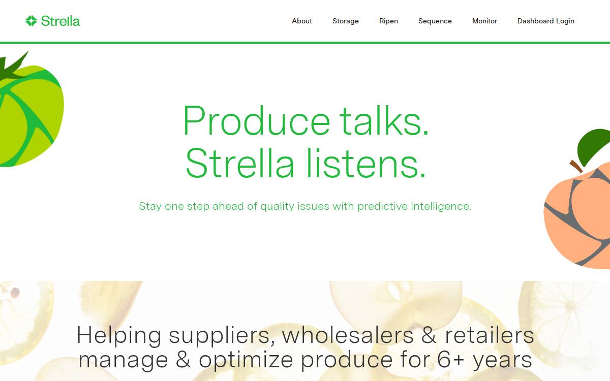 Strella Biotechnology website preview