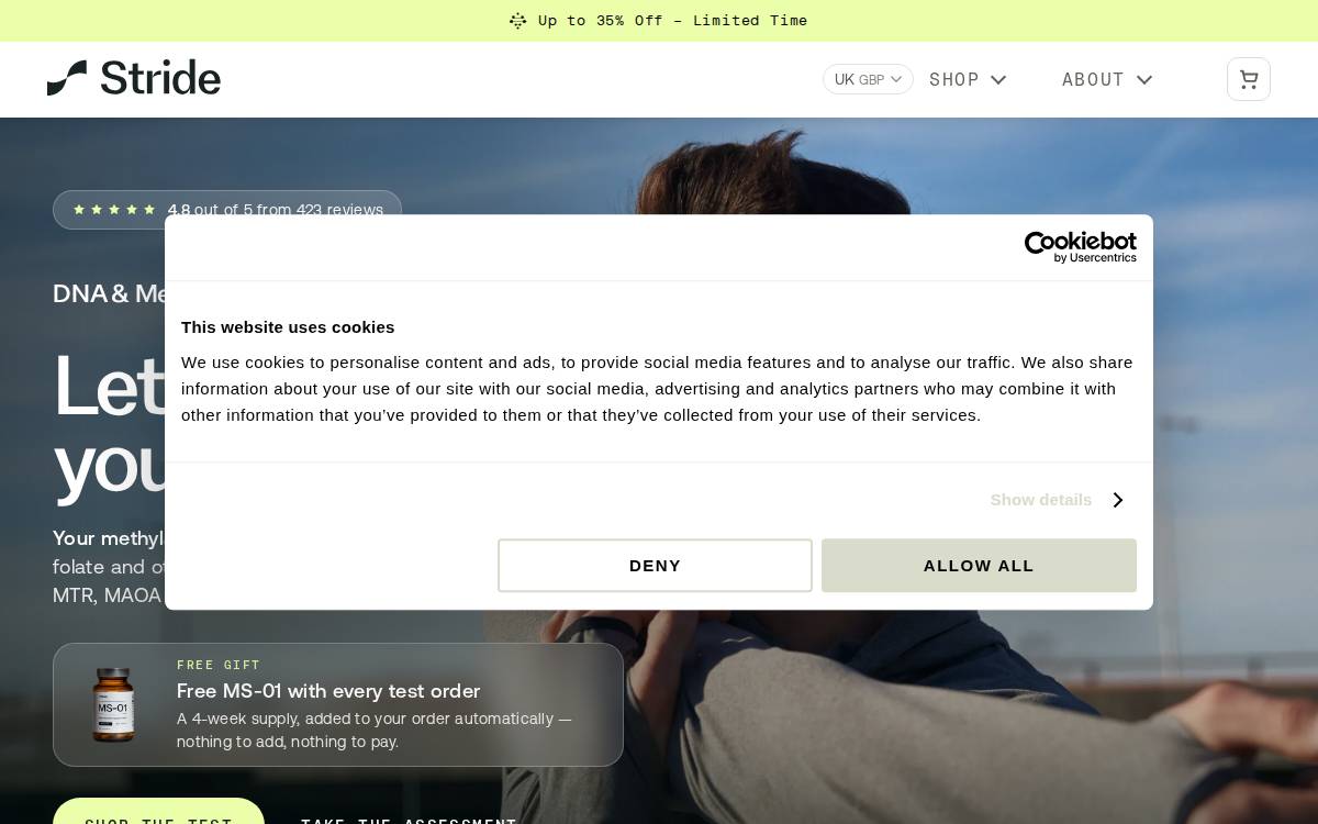 Stride website preview