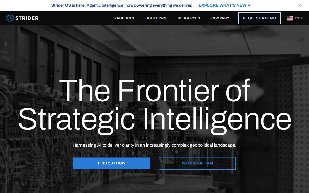 Striderintel website preview