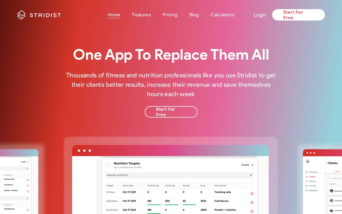 Stridist website preview