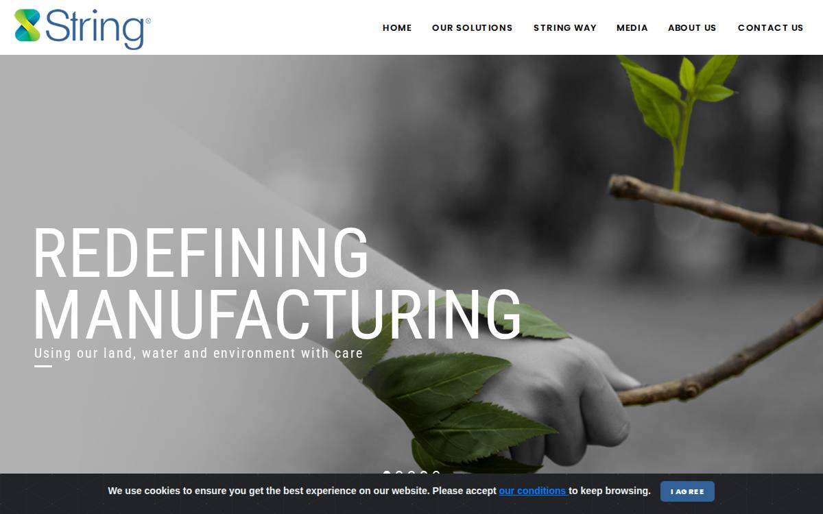 Stringbio website preview