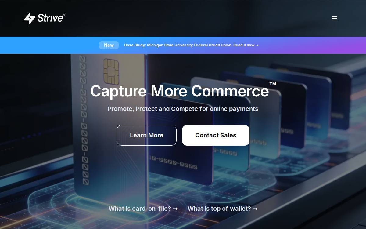 Strivve website preview