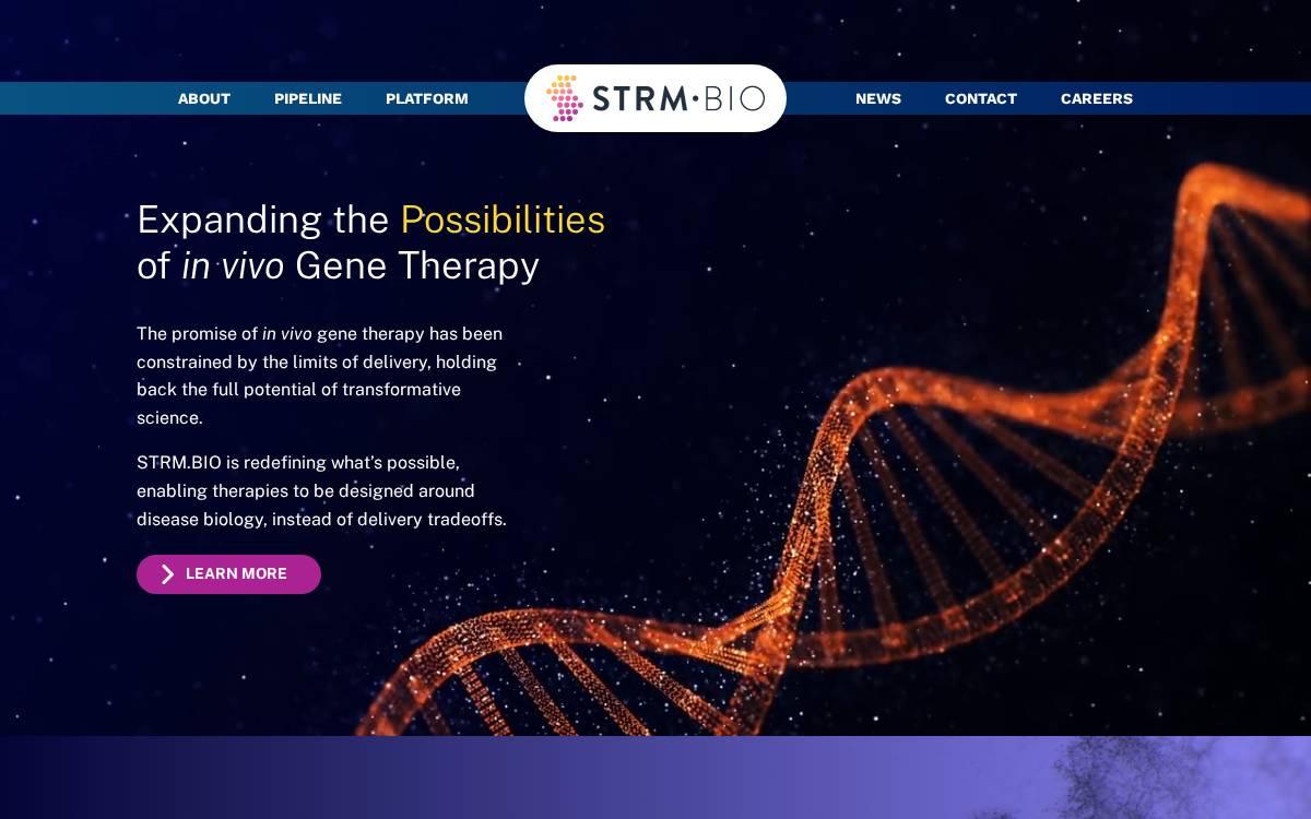 ▶︎ STRM.BIO website preview