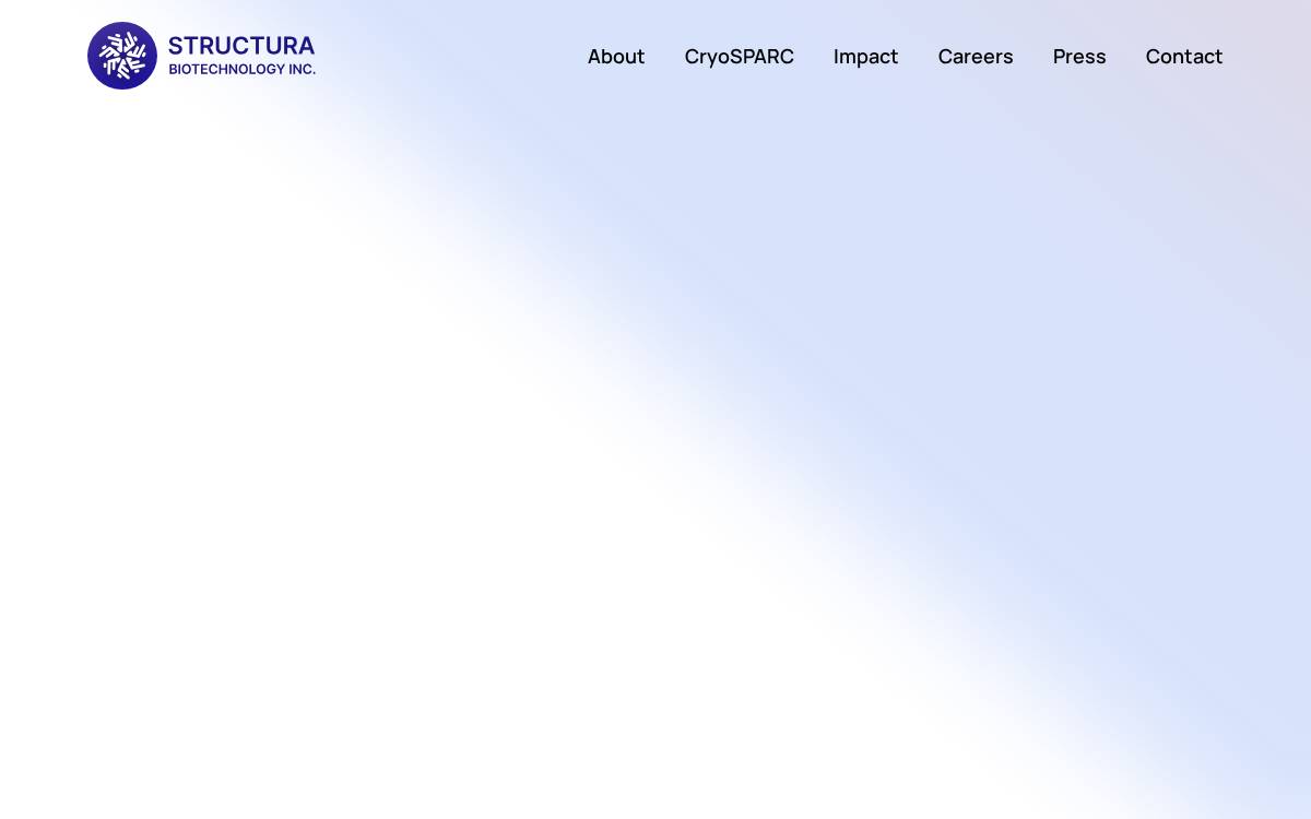 Structura website preview