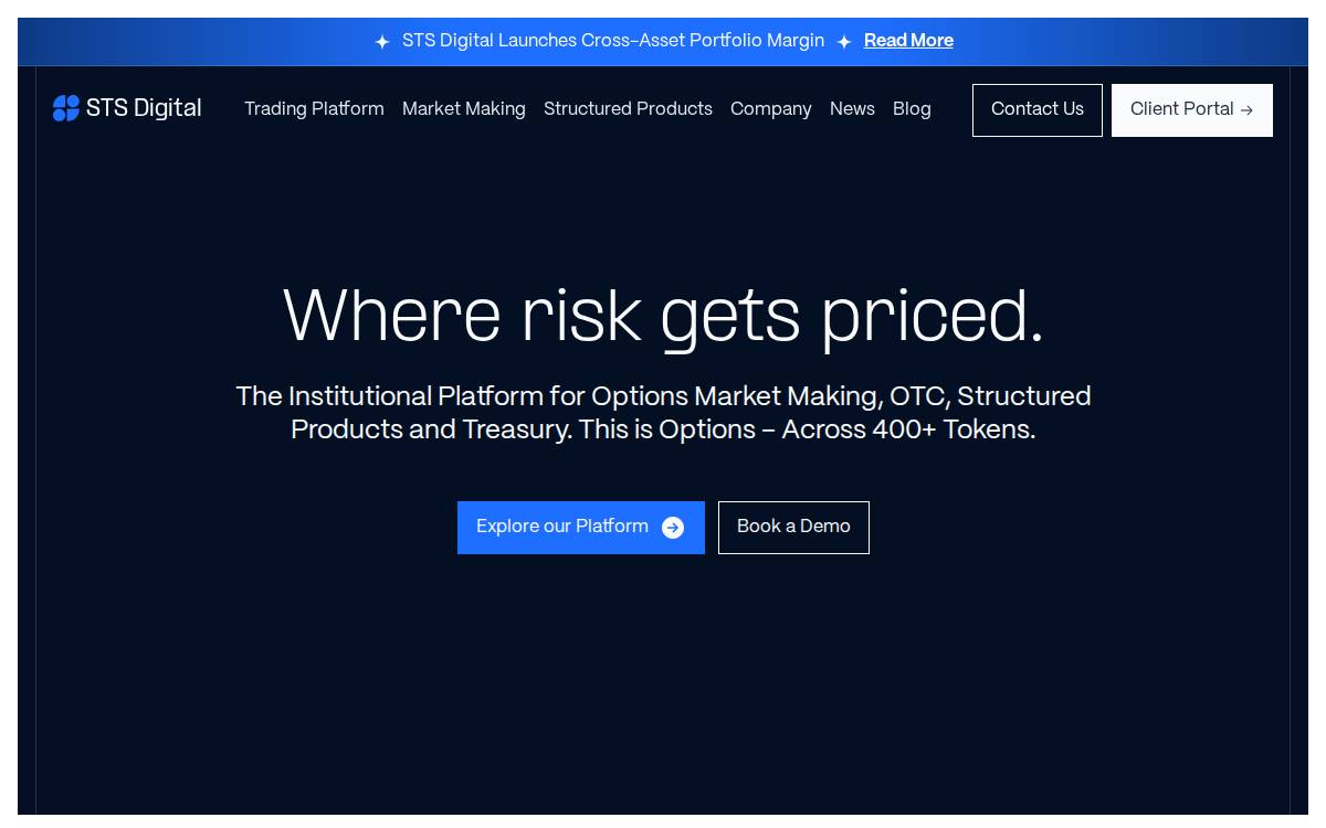 STS Digital website preview