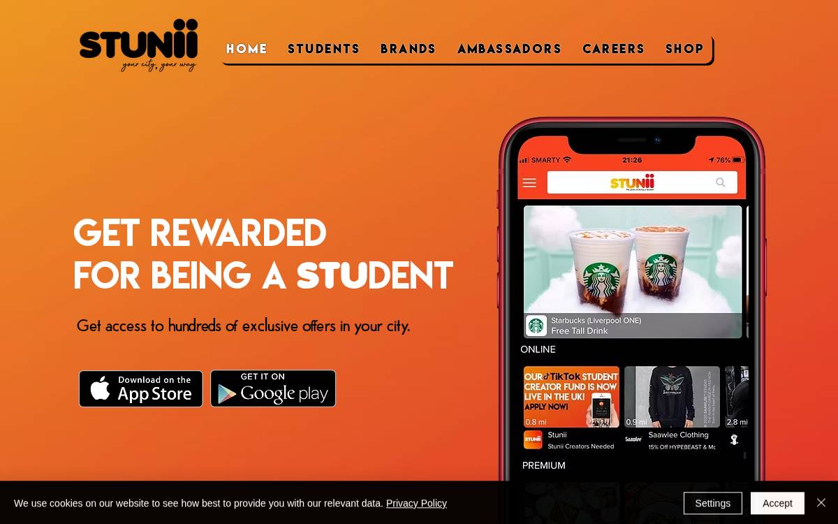 Stunii website preview