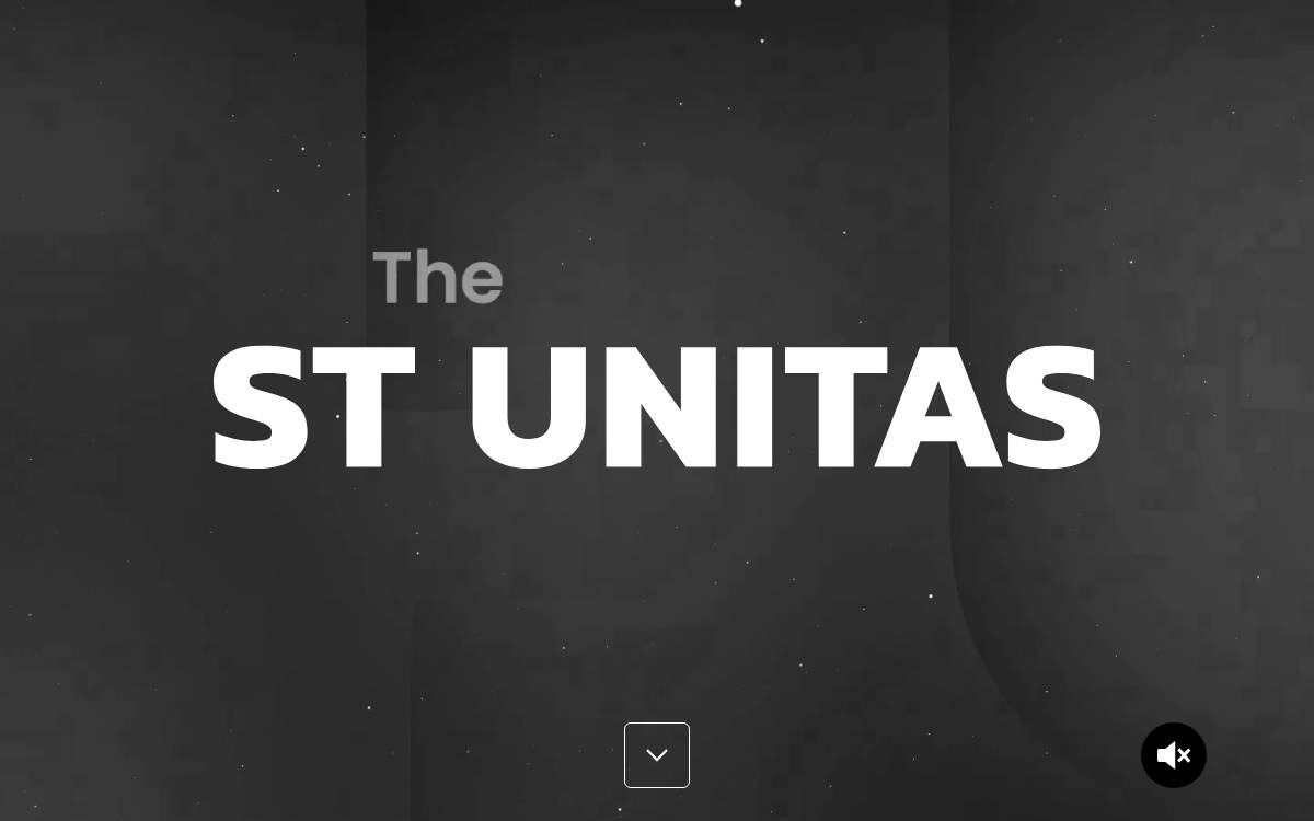 Stunitas website preview