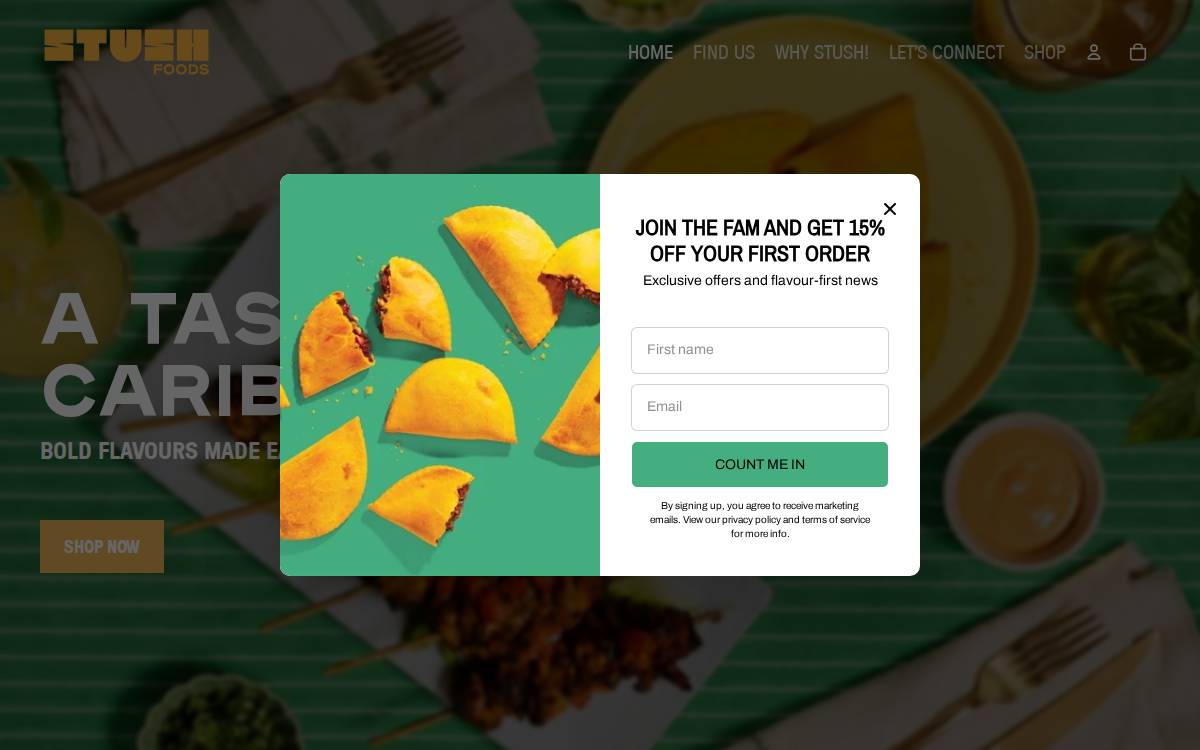 Stushpatty website preview
