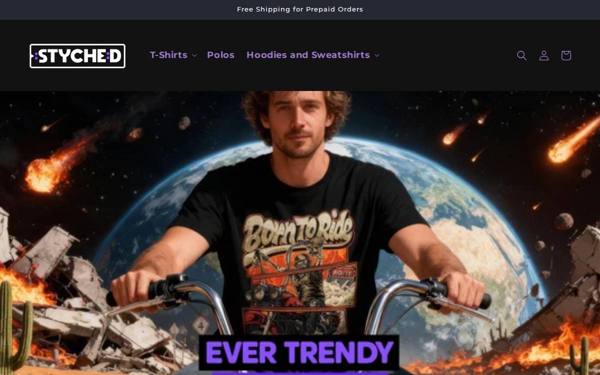 Styched website preview