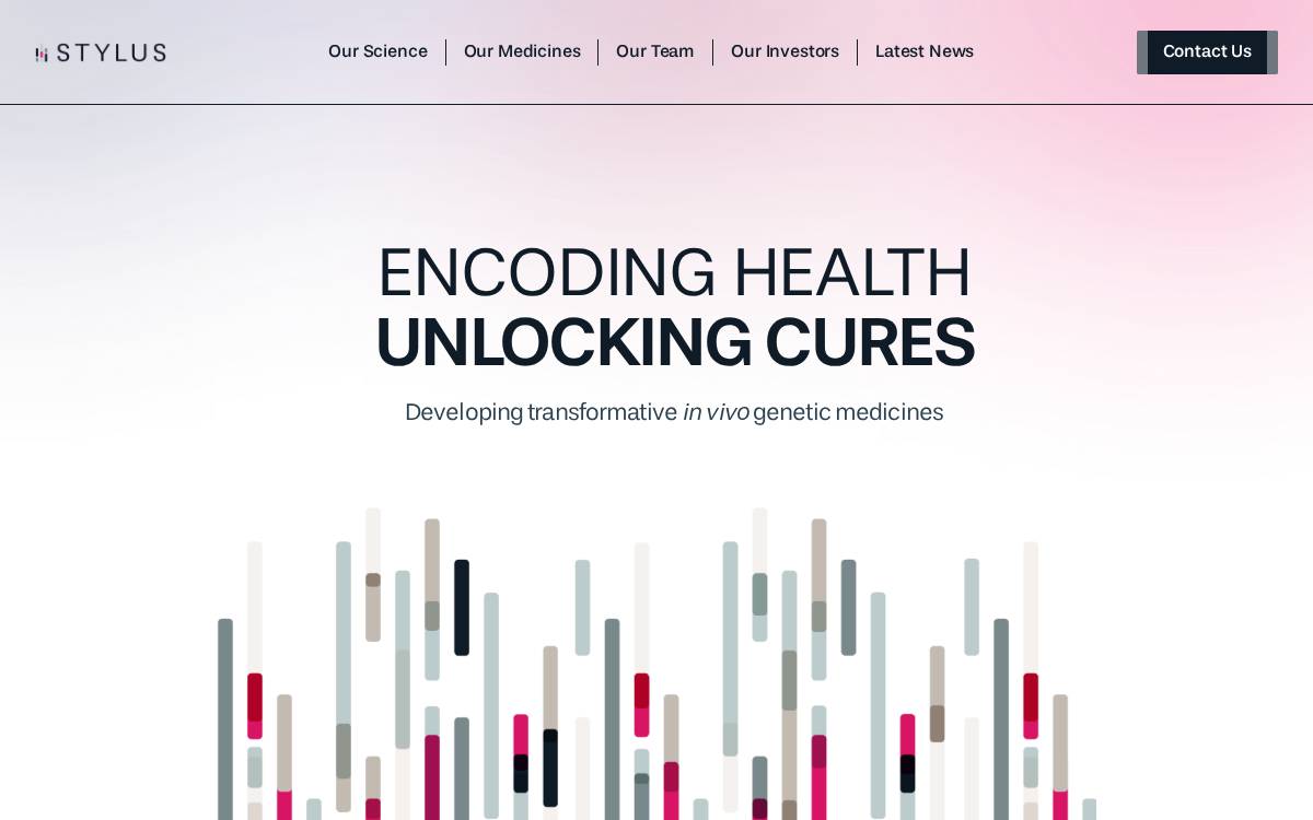 Stylus Medicine website preview