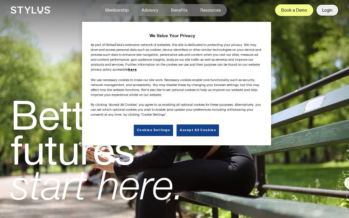 Stylus website preview