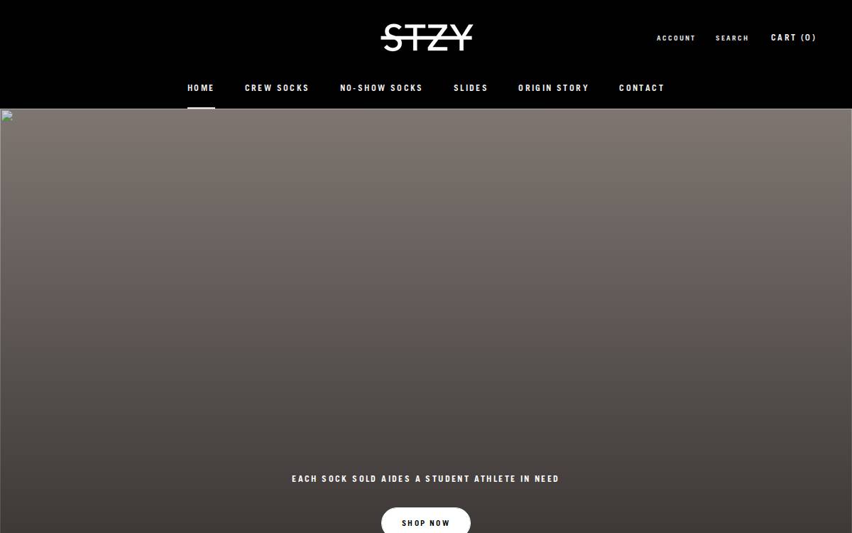 STZY website preview
