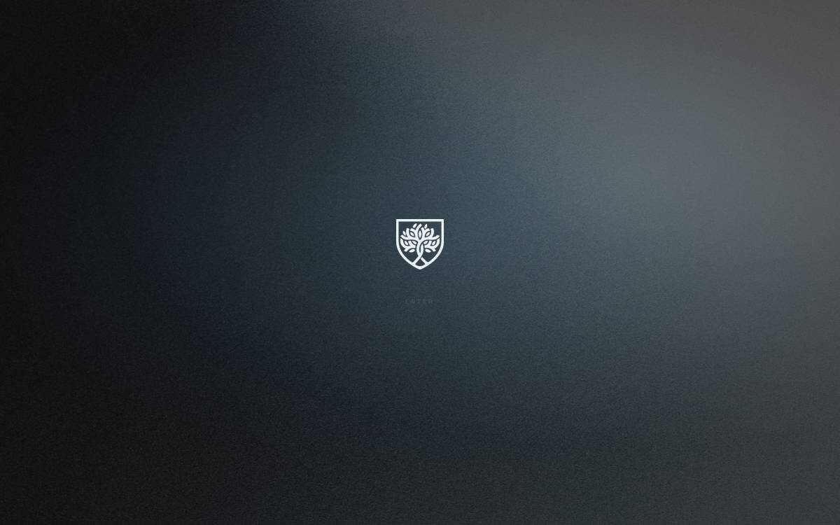 Successions website preview