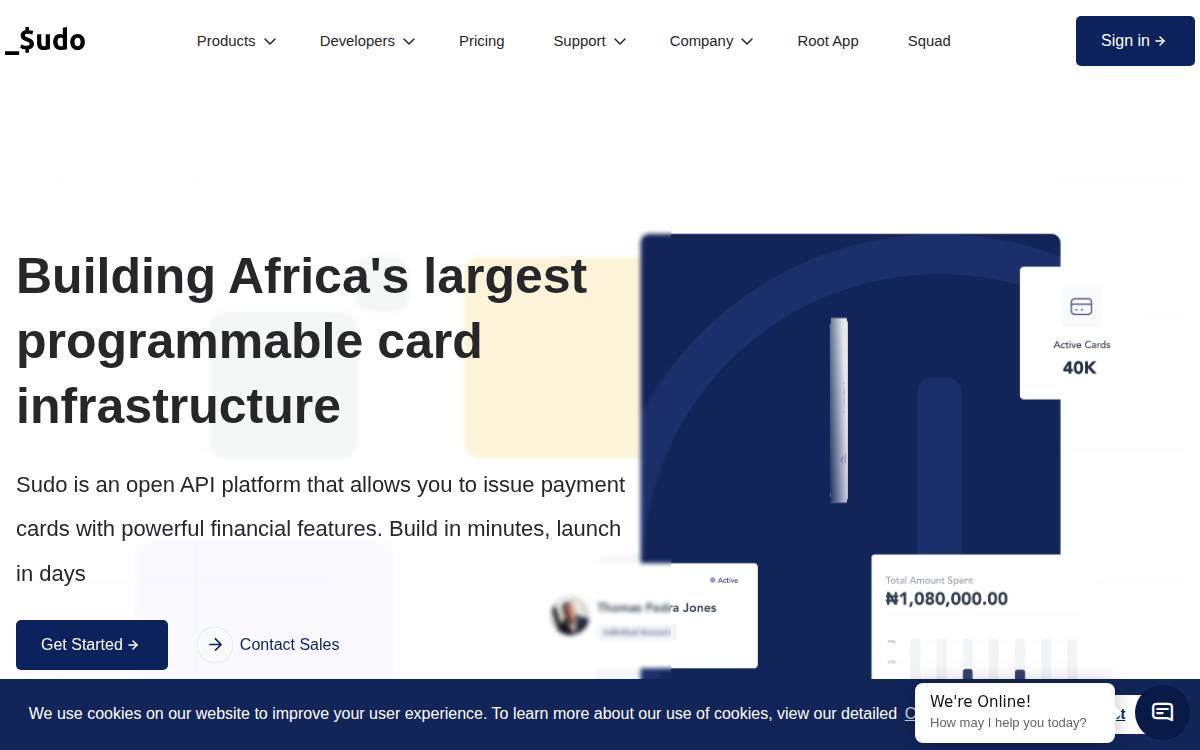 Sudo website preview