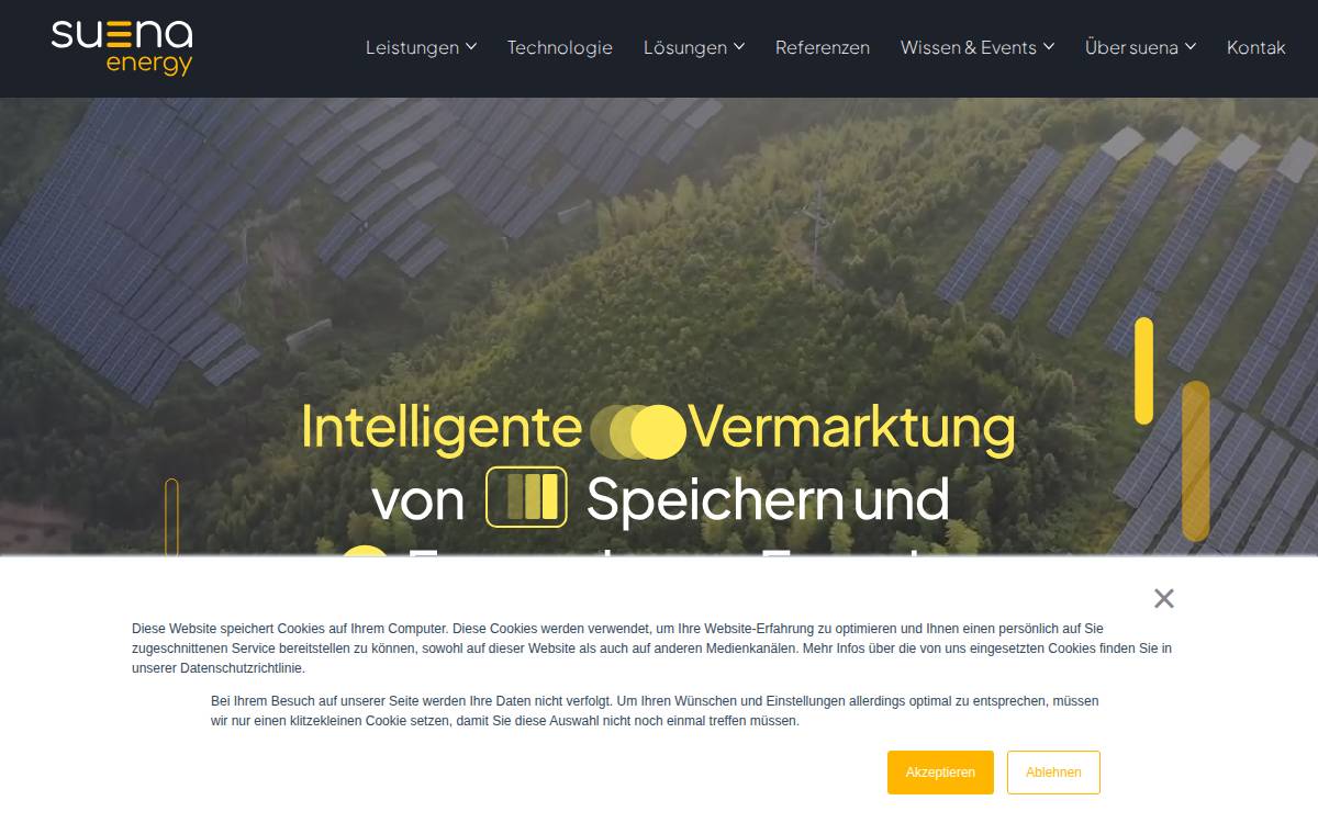 Suena website preview