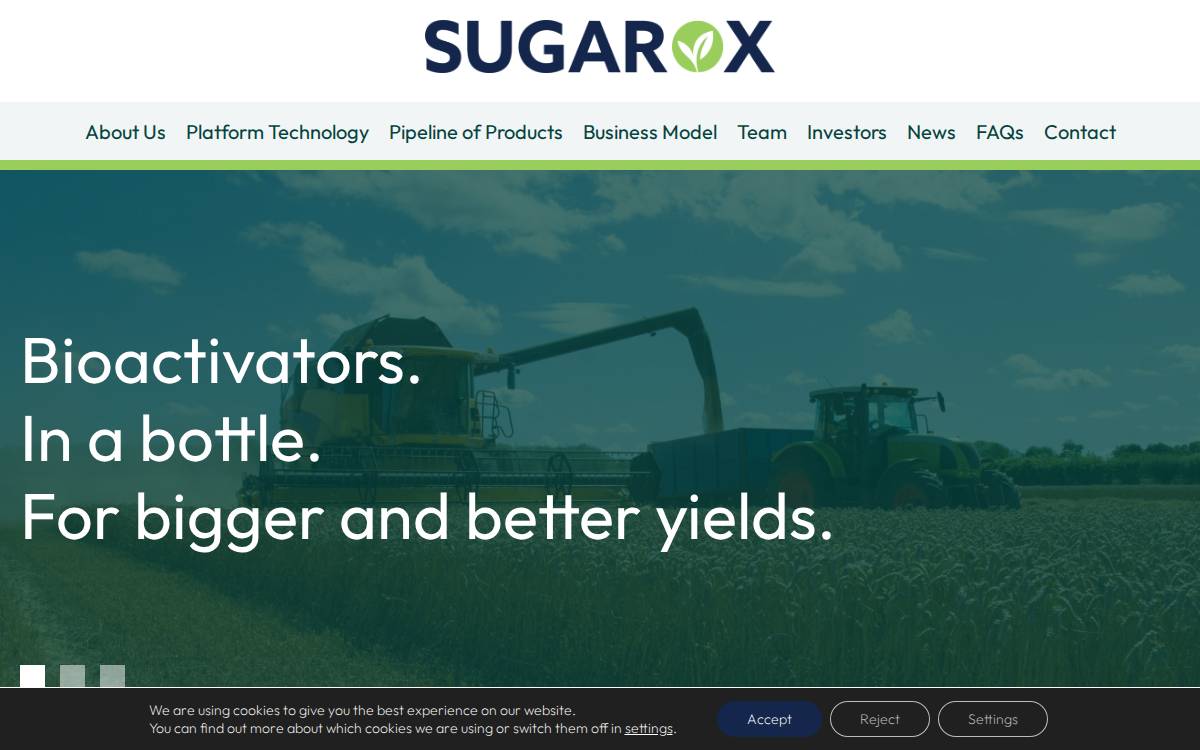 SugarOx Seed website preview