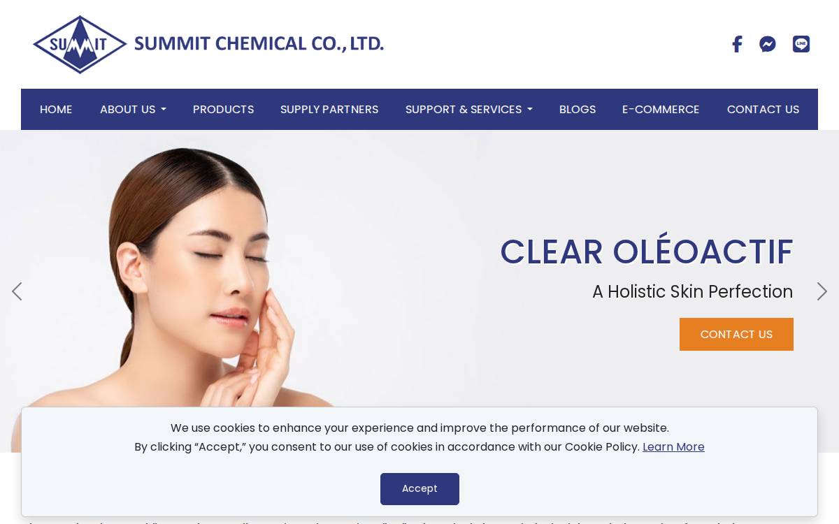 Summitchemical website preview
