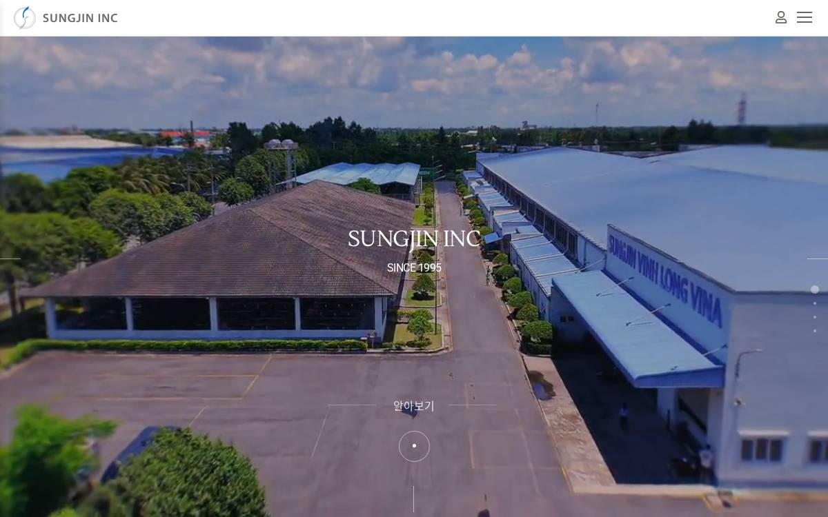 Sungjininc website preview