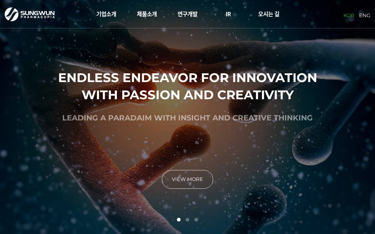 Sungwun website preview