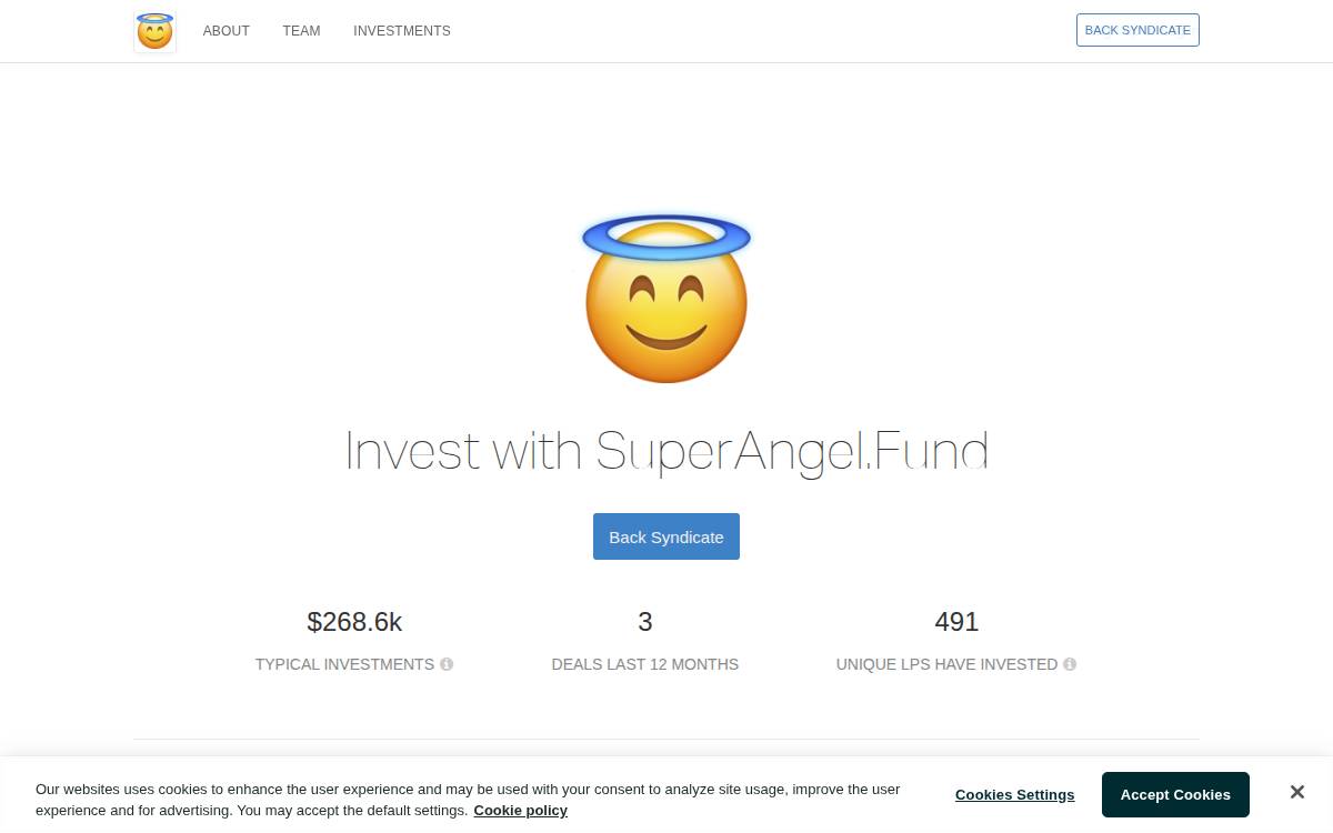 Superangelsyndicate website preview