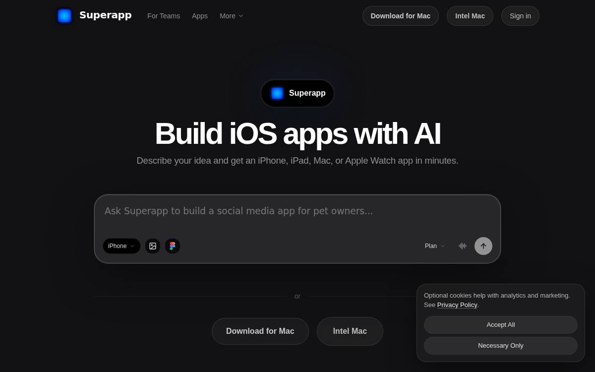 SuperApp website preview