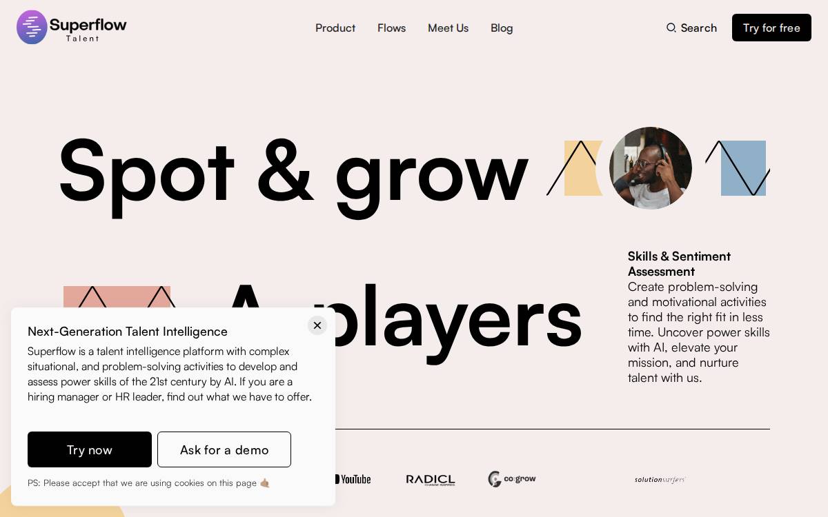 Superflow website preview