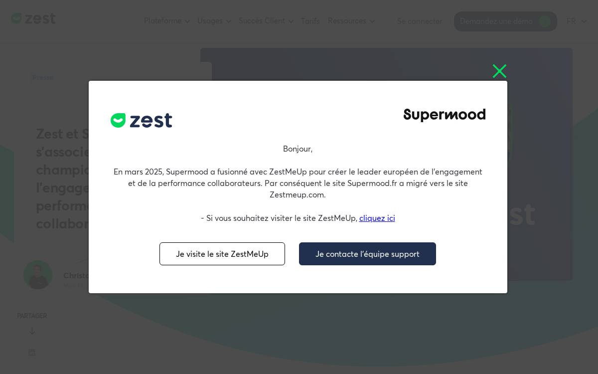 Supermood website preview