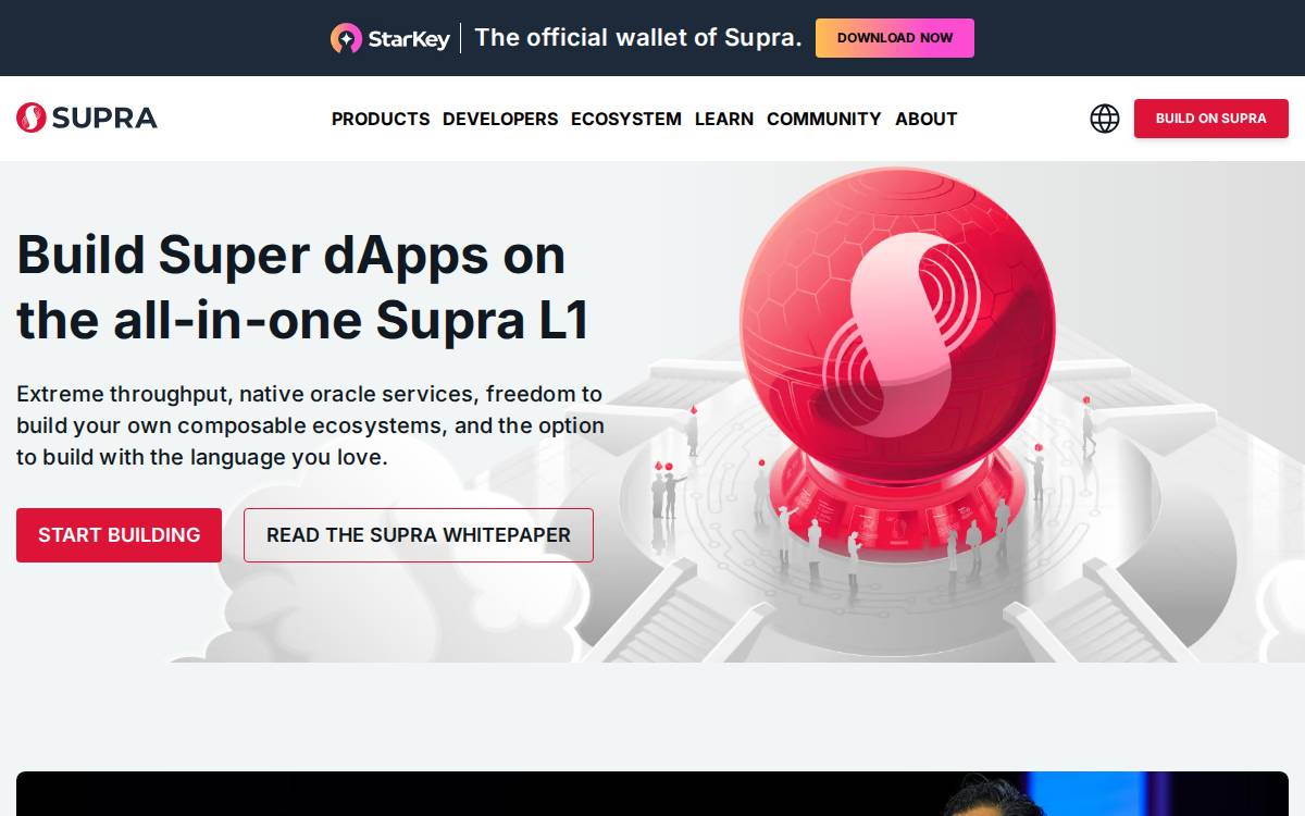 Supra Infrastructure website preview