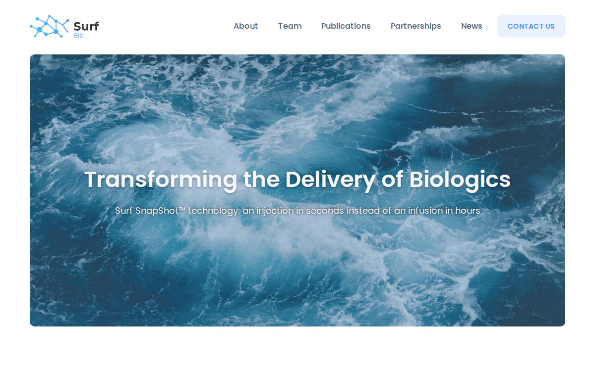 Surf website preview