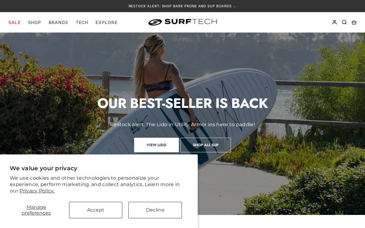Surftech website preview