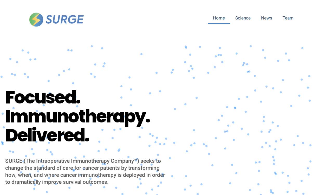 SURGE website preview