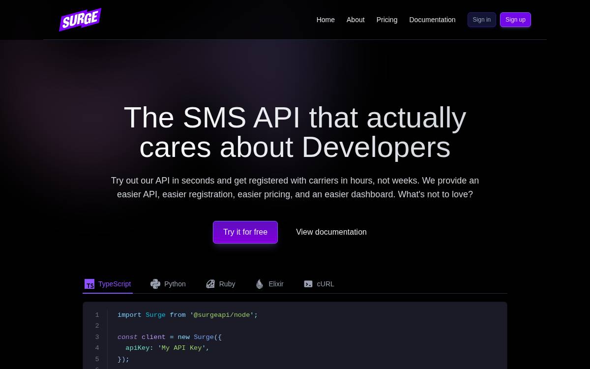 Surge website preview