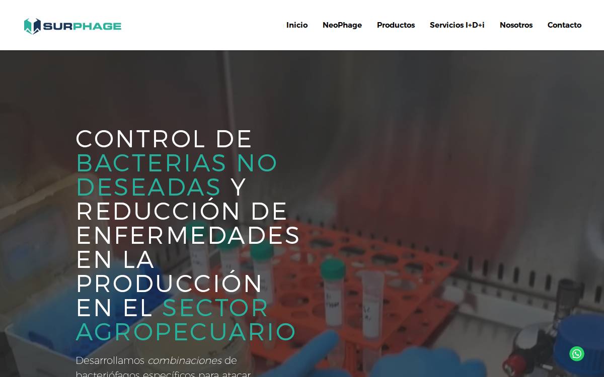 Surphage website preview