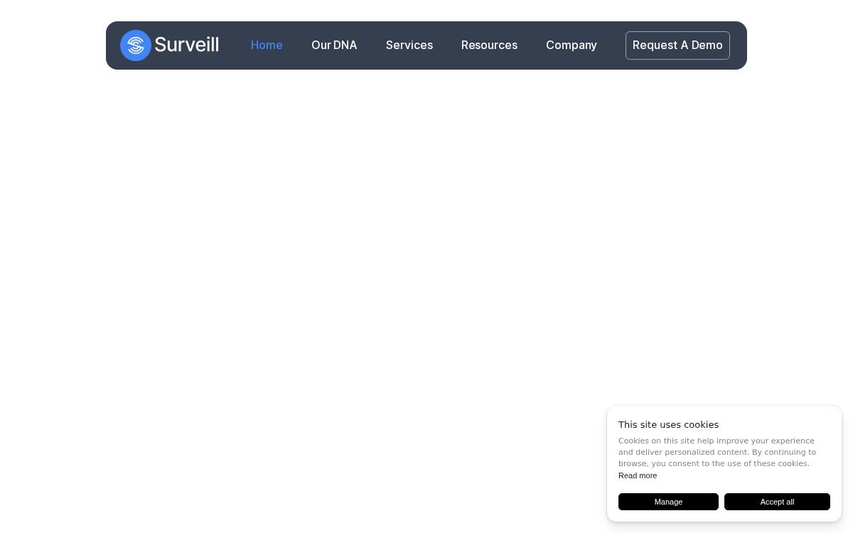 Surveill website preview