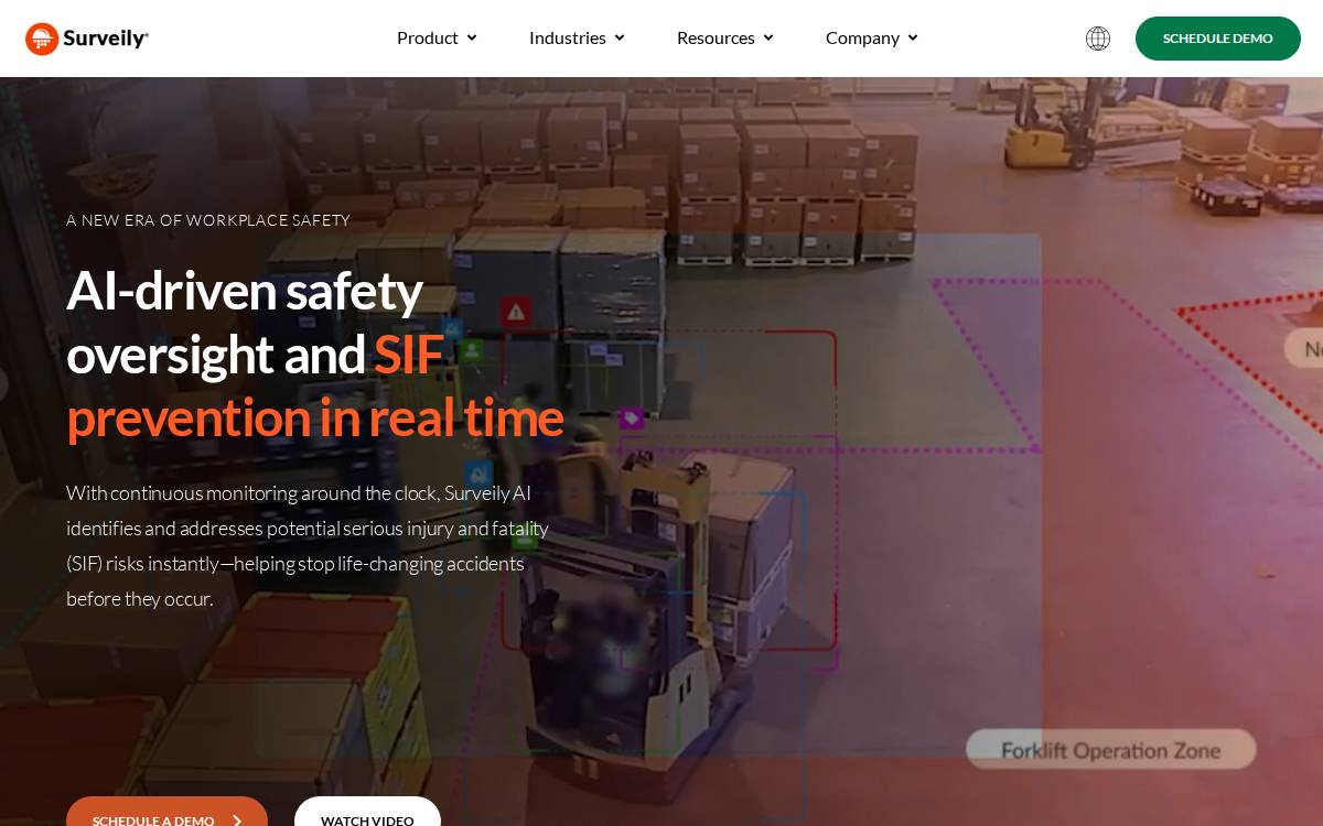 Surveily website preview