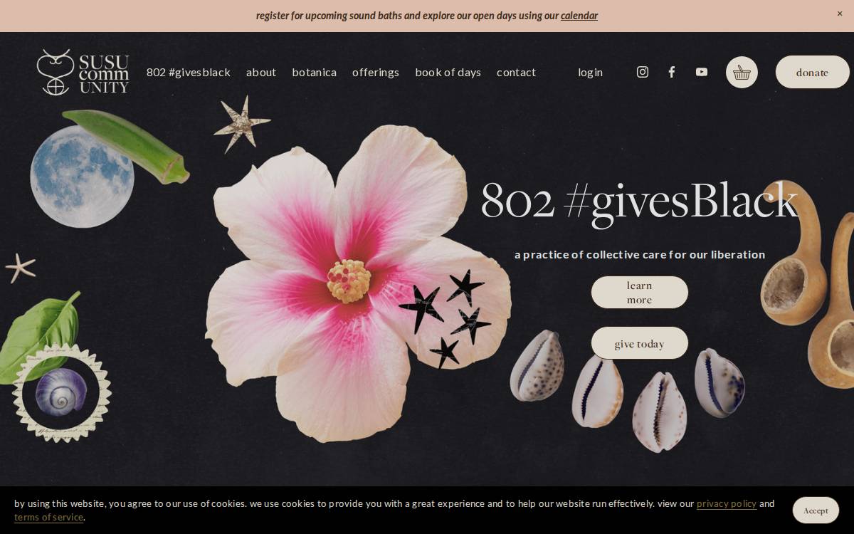 SUSU CommUNITY Farm website preview