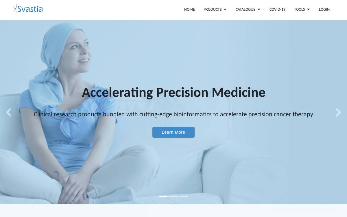 Svastia website preview